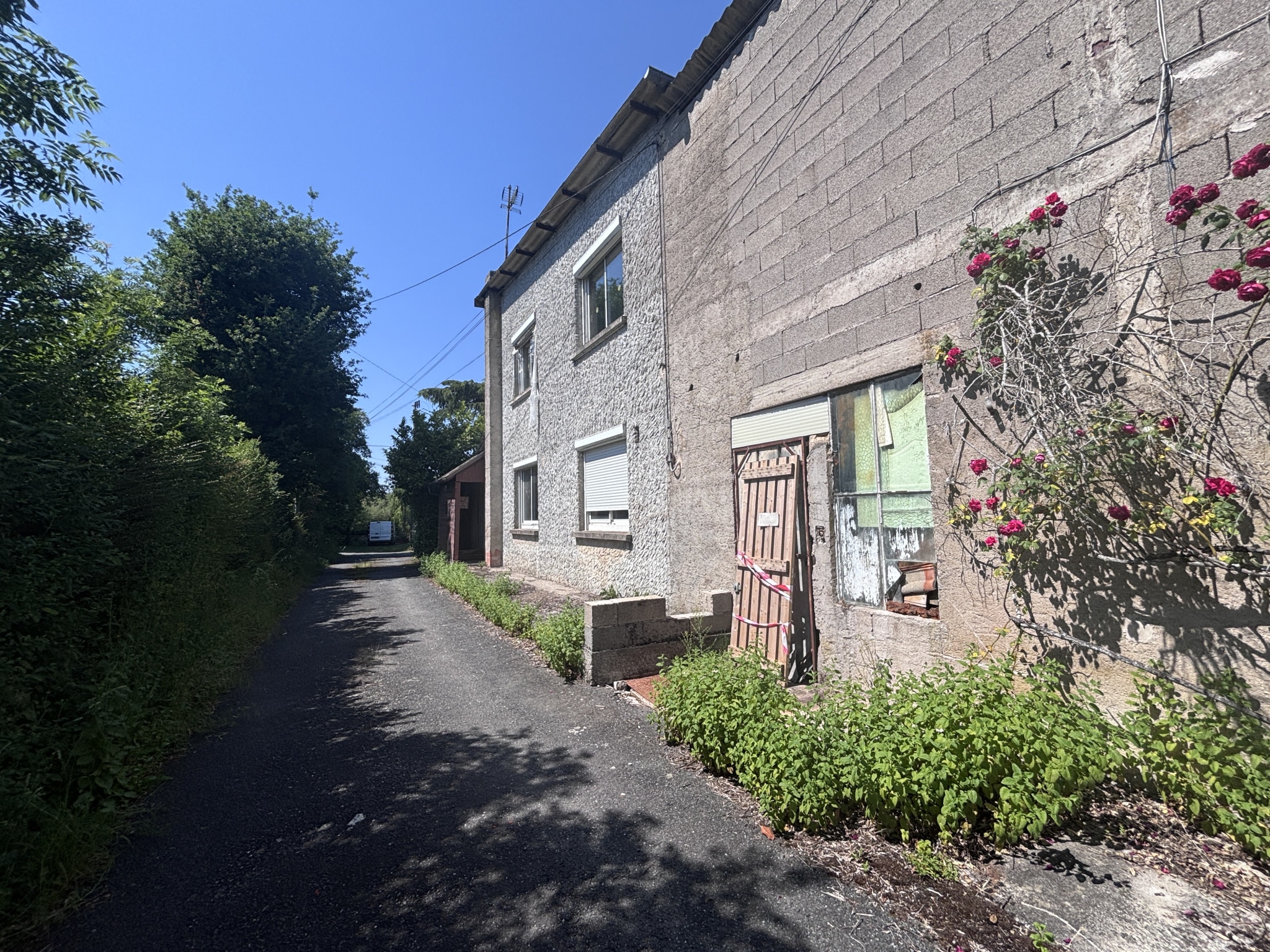 Entrepôt avec appartements - 300 m2 - REQUISTA – Image 2